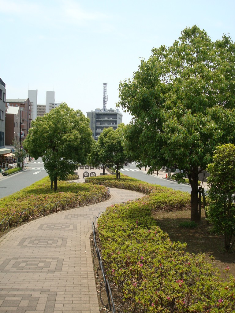 DSC00849